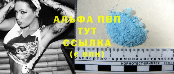 PSILOCYBIN Кулебаки